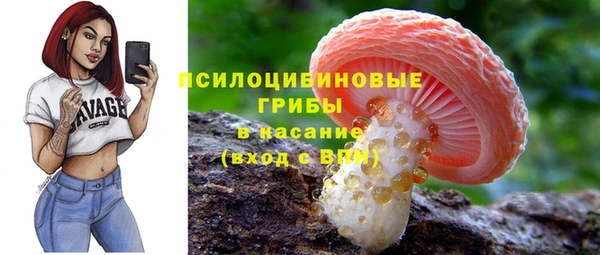 амф Алзамай