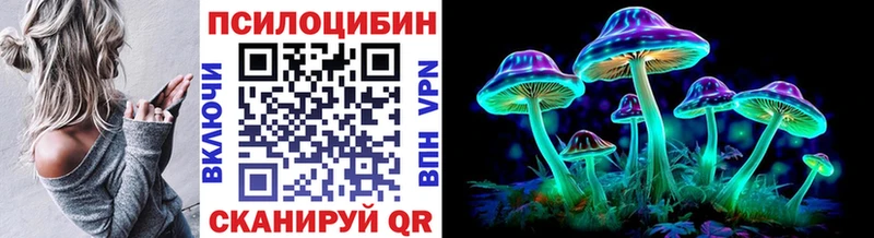 darknet какой сайт Новопавловск Псилоцибиновые грибы мицелий